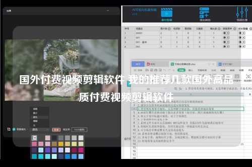 国外付费视频剪辑软件 我的推荐几款国外高品质付费视频剪辑软件