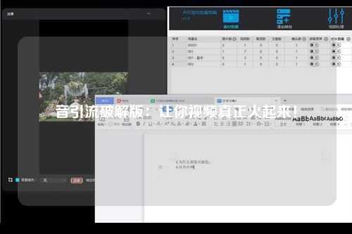 音引流破解版：让你视频真正火起来！